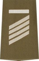 Rangschlaufen Stabsgefreiter UA oliv/weiß mit Klett