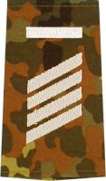 Rangschlaufen Stabsgefreiter UA flecktarn/weiß mit...