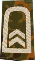 Rangschlaufen Oberfeldwebel flecktarn/weiß mit Klett