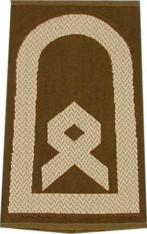 Rangschlaufen Hauptfeldwebel oliv/weiß