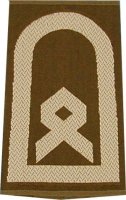 Rangschlaufen Hauptfeldwebel oliv/weiß