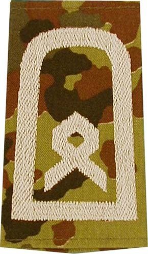 Rangschlaufen Hauptfeldwebel  flecktarn/weiß