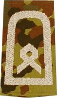 Rangschlaufen Hauptfeldwebel  flecktarn/weiß