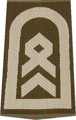 Rangschlaufen Stabsfeldwebel oliv/weiß mit Klett