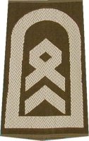 Rangschlaufen Stabsfeldwebel oliv/weiß mit Klett