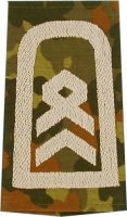 Rangschlaufen Stabsfeldwebel  flecktarn/weiß mit Klett