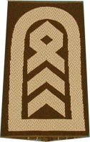 Rangschlaufen Oberstabsfeldwebel oliv/weiß