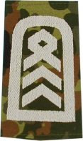 Rangschlaufen Oberstabsfeldwebel flecktarn/weiß mit...