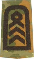 Rangschlaufen Oberstabsfeldwebel  flecktarn/schwarz mit...