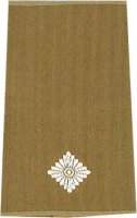 Rangschlaufen Leutnant oliv/weiß mit Klett