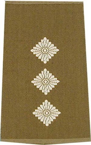 Rangschlaufen Hauptmann oliv/weiß mit Klett