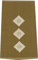 Rangschlaufen Hauptmann oliv/weiß mit Klett