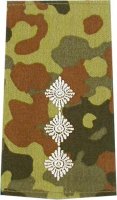 Rangschlaufen Hauptmann  flecktarn/weiß