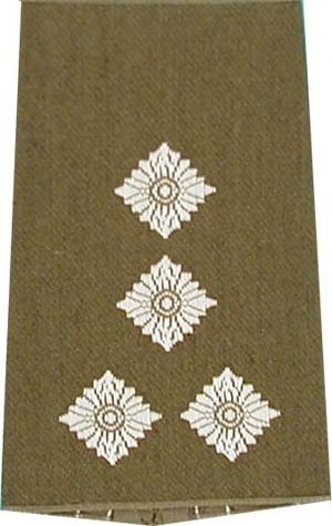 Rangschlaufen Stabshauptmann oliv/weiß mit Klett