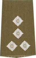 Rangschlaufen Stabshauptmann oliv/weiß mit Klett