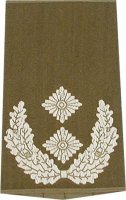 Rangschlaufen Oberstleutnant oliv/weiß