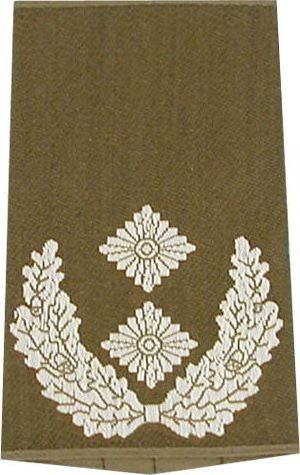 Rangschlaufen Oberstleutnant oliv/weiß mit Klett