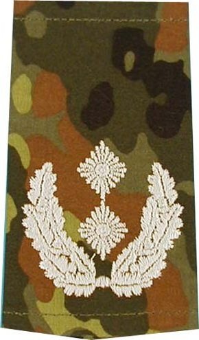 Rangschlaufen Oberstleutnant  flecktarn/weiß