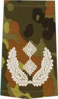 Rangschlaufen Oberstleutnant  flecktarn/weiß mit Klett