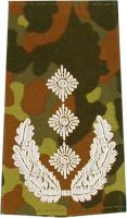 Rangschlaufen Oberst  flecktarn/weiß