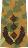 Rangschlaufen Oberst  flecktarn/schwarz mit Klett