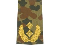 Rangschlaufen Generalmajor  flecktarn/gold
