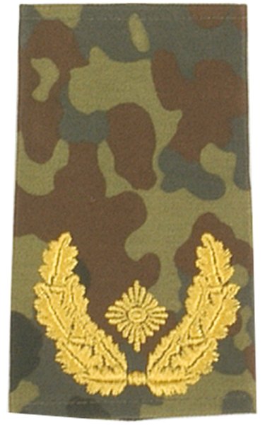 Rangschlaufen Brigadegeneral  flecktarn/gold