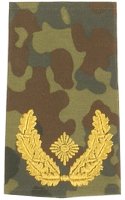 Rangschlaufen Brigadegeneral  flecktarn/gold