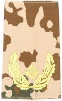 Rangschlaufen Brigadegeneral  tropentarn/gold
