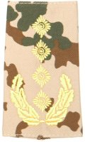 Rangschlaufen General tropentarn/gold